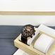 Часы мужские Curren 8380 AB-1008-0225 Black-Brown