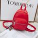 Жіночий рюкзак Aster Red червоний eps-8247