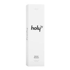 Освежающий шампунь holy refresh shampoo 250 мл